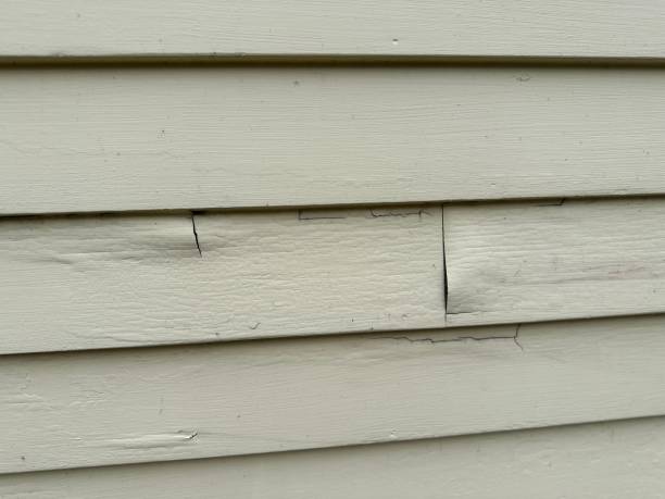 Professional Siding Installation & Repair in Sebree, KY